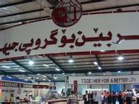 �����˰������չ���ó��չ���ᣨ2013��